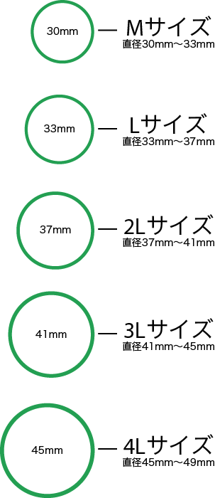 南高梅のサイズ