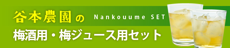 朝採り南高梅（青梅）梅酒・梅ジュースセット